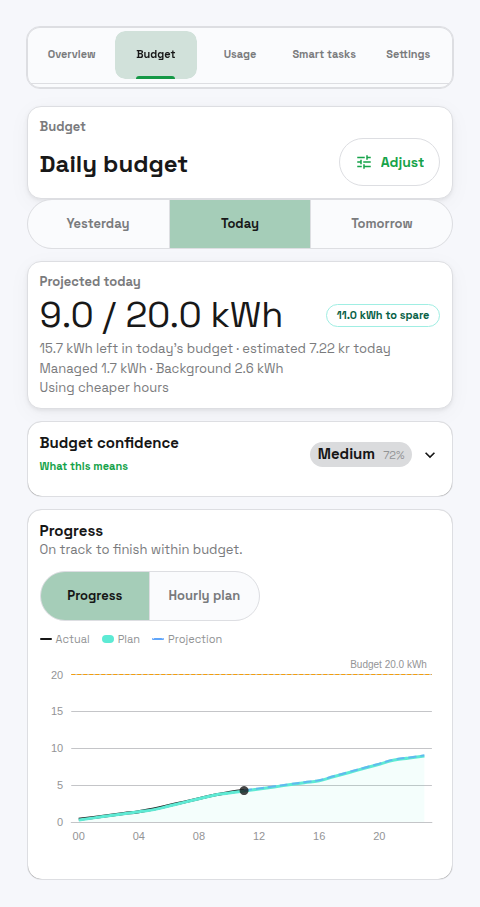 PELS Budget page Plan view showing energy used versus today's budget, budget confidence, and a progress chart tracing actual usage against the planned curve.